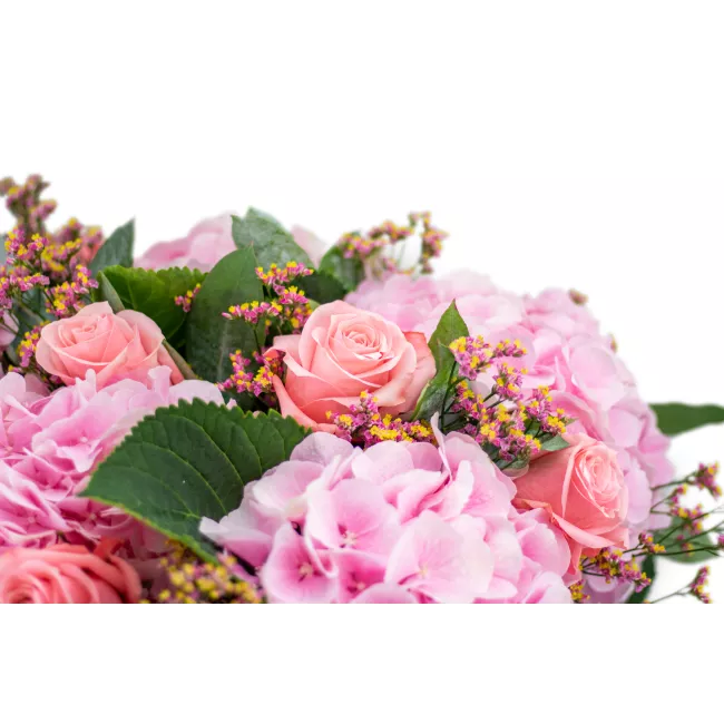 Bouquet of hydrangea